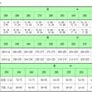 영레저스포츠 이미지