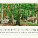 서양미술기행 이미지
