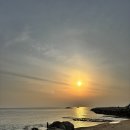 벤지애견 | 강원도여행 강원도바다캠핑 노지캠핑 “장사항”