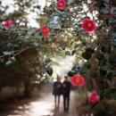 3/21~22 비렁길따라 동백향따라 ~ &#34;금오도비렁길&#34;, 오동도동백숲,예술랜드,여수여행~~ 이미지