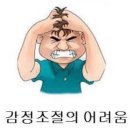 목포두꺼비