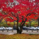 November 이미지