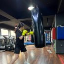 백프로 복싱체육관 이미지