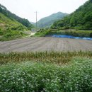 용담면행정복지센터 이미지