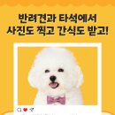 쇼골프 이미지