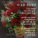 수요일꽃집
