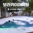 코코환경 | 필리핀 보라카이 어학원 코코 어학연수 우리아이 2주차 후기