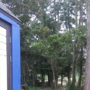 나비채 하우스 이미지