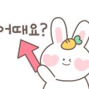 바이킹조개포차 이미지