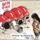 부엉이푸드 이미지