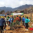 백두광고 이미지