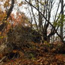 신흥목장 이미지