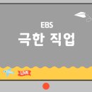 엑스포수선 | 7월 11일 EBS [극한직업] 제917화 ‘나의 두 번째 전성기 - 가발, 중장비 세차, 입주 청소’ 내용과...