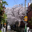 남천동 정암빌딩 이미지