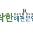 착한애견분양강아지 수원광교본점 이미지