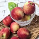 신비복숭아 제철 첫 수확 1KG 예약 후숙 과일꾼 pick