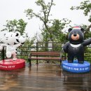 정선 가리왕산 케이블카 이미지