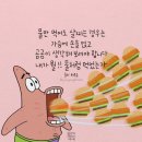 포케올데이 이미지