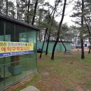 몽산포오토캠핑장 이미지
