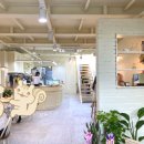 소렐(Sorrel) 이미지