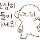 숙명어린이집 이미지