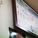 독도 꽃새우 네이버블로그