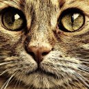 Let’s fun? 이미지