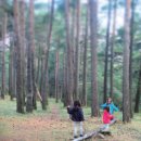 자연에서온 편지 이미지