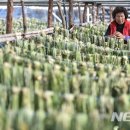 오산농원 영농조합법인 이미지
