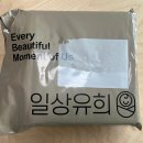 일상의미 | 초음파앨범 추천, 일상유희 내돈내산 후기 구성품부터 장단점까지