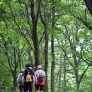 지에이치자연건강양덕지점 | 맨발걷기의 효과/흙을 밟는'접지(earthing)'와 건강/전국 맨발걷기 좋은 곳