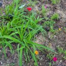 고향집숯불왕갈비 이미지