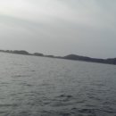호도·녹도·외연도 Daum카페