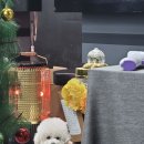 주안헤어샵 주안동 미용실 클래식옴므헤어 청하디자이너 쉐도우펌 후기