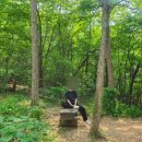 구암동270 | 대구 초보 등린이 코스 등산 데이트 :: 함지산 망일봉 / 운암지수변공원