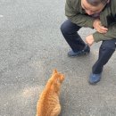 꼼뉴네일 이미지