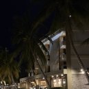 몽키’s비어 | 보홀여행 알로나비치 분위기 좋은 술집 공연하는 곳ㅣ환전소 생망고 맛집 정보