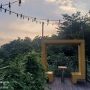 보덕사해우소 | 강원도 힐링여행. 영월 가볼만한 곳: 청령포, 느티나무(용마루나무), 보덕사, 물무리골생태습지, 선돌