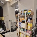 주)더해치 에이스골프 | 골프 찐초보 골린이의 기록 및 후기 시작, [프렌즈아카데미 일산중산점]