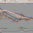 에코마린코리아 이미지