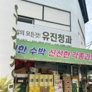 유진청과