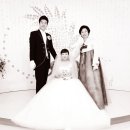 유영자 Daum카페