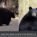 스마일이촌떡볶이
