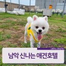 스퀘어독스 롯데남악점 이미지