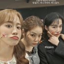 하띠농장 네이버블로그