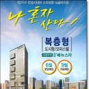 디베뉴스타 이미지
