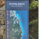 바다정원 속초카페거리 본점 이미지