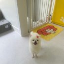 예쁜미용 이미지