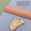 춤이 있는 무용학원 | 대전 동구 성인발레 &#39;춤,이랑 무용학원&#39;, 4회 수강 후기 (feat. 가격, 준비물)