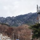 번영장묘